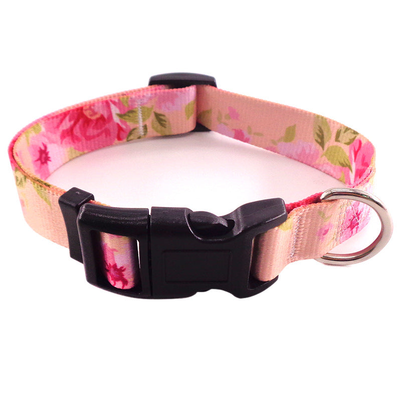 Bright And Novel Multi-color Pet With Colorful Dog Leash