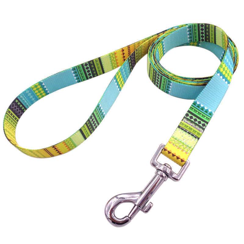 Bright And Novel Multi-color Pet With Colorful Dog Leash