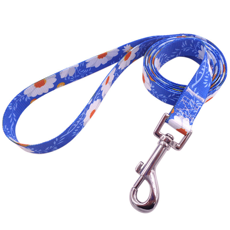 Bright And Novel Multi-color Pet With Colorful Dog Leash