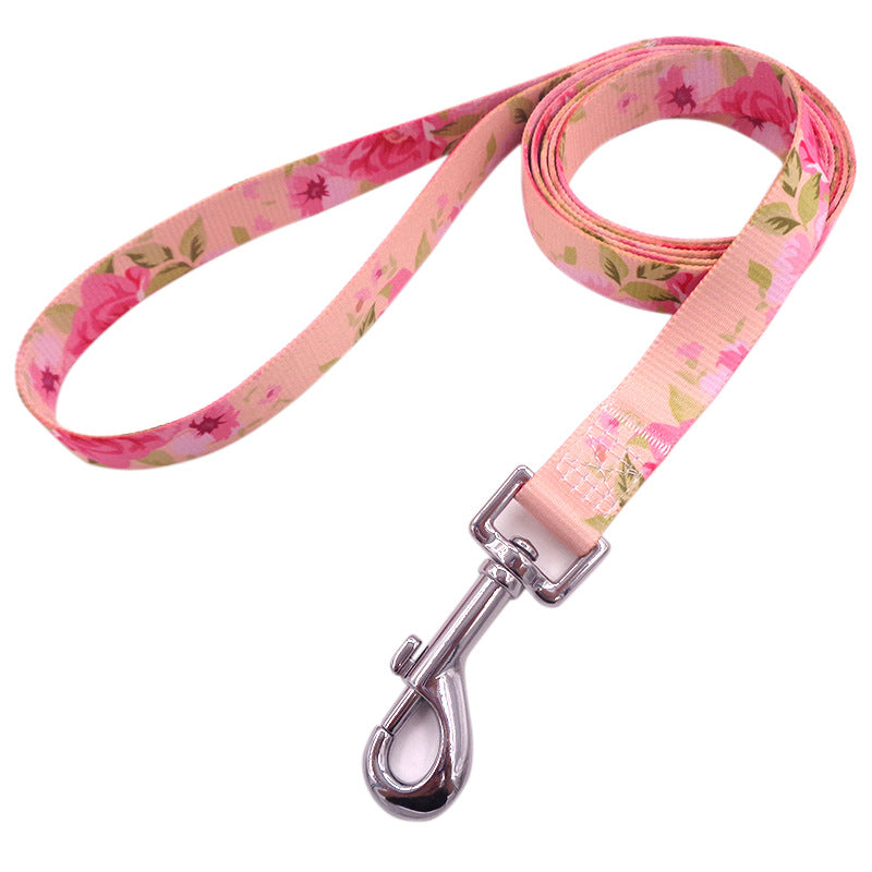 Bright And Novel Multi-color Pet With Colorful Dog Leash