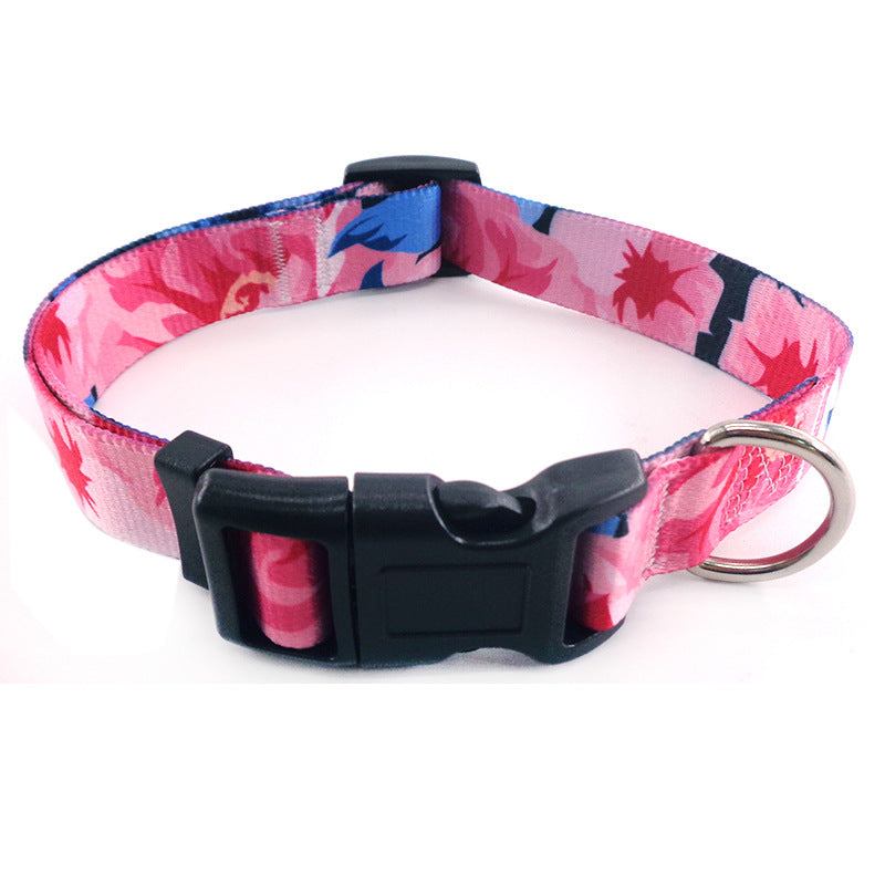 Bright And Novel Multi-color Pet With Colorful Dog Leash